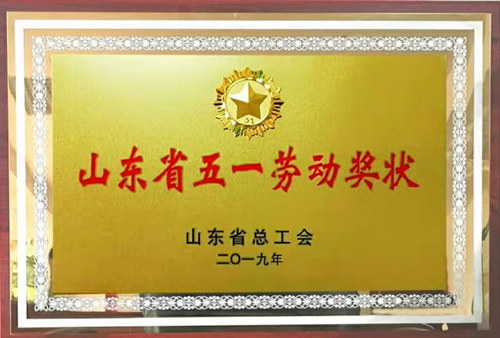 五一劳动奖状_500.jpg